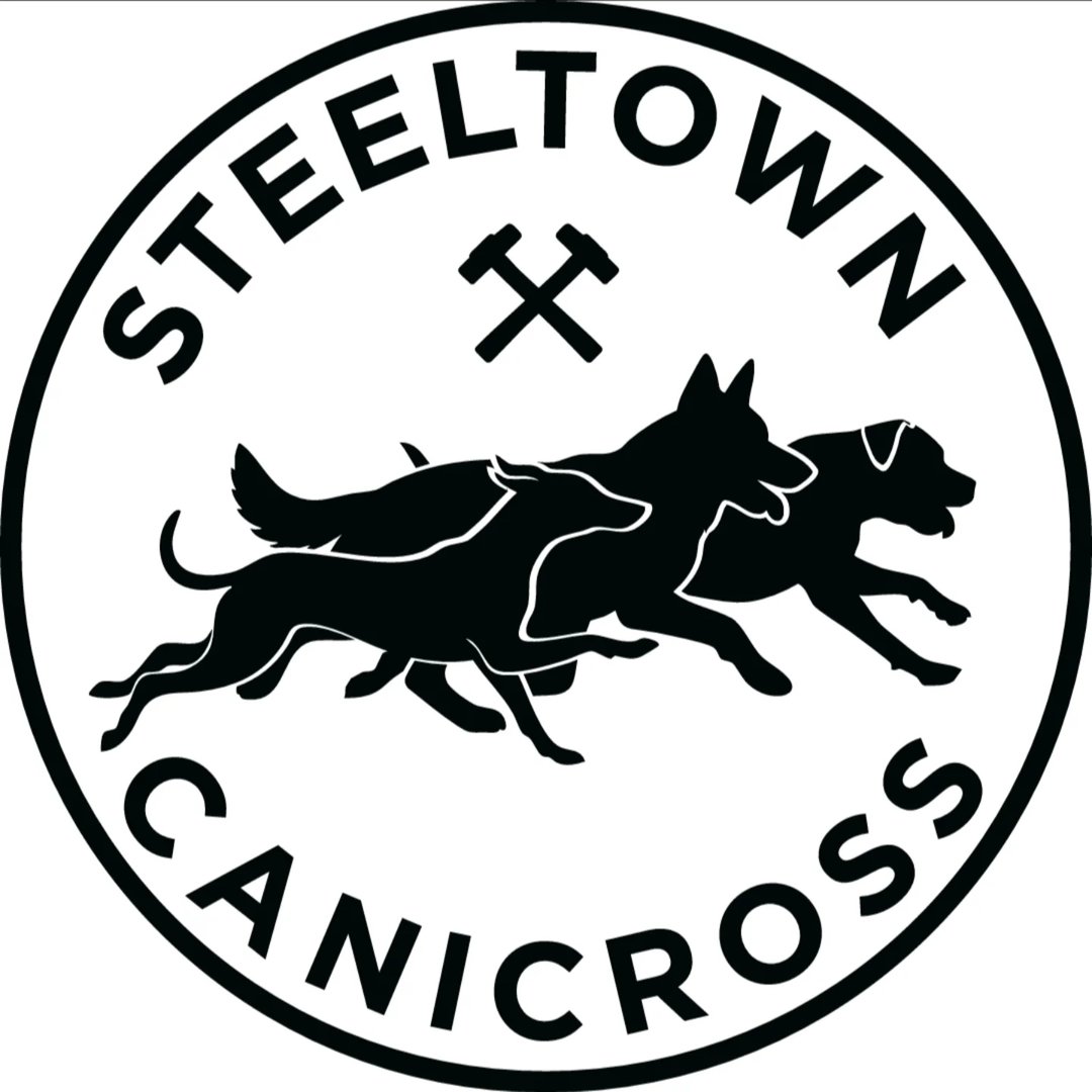 steeltown canicross